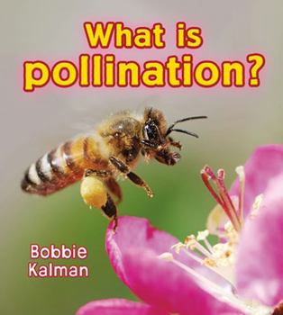 Paperback What Is Pollination? Book