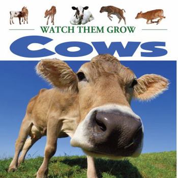 Hardcover Cows Book