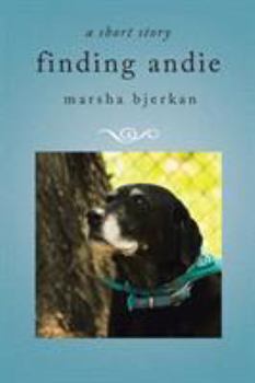 Paperback finding andie Book