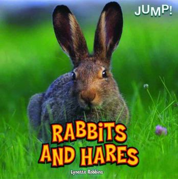 Library Binding Rabbits and Hares Book