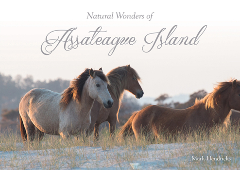 Hardcover Natural Wonders of Assateague Island Book