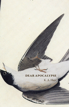 Paperback Dear Apocalypse Book