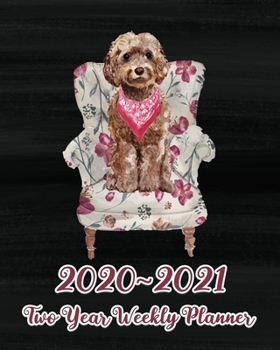 2020 - 2021 Two Year Weekly Planner: Dog Gifts for Dog Lovers and Owners, Jan 2020 - Dec 2021 24 Month Planner With To Do List to Achieve Your Goals, Cute Brown Cockapoo on Chair
