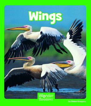 Paperback Wings Book