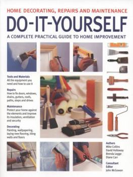 Paperback Do-It-Yourself: Home Decorating, Repairs and Maintenance Book