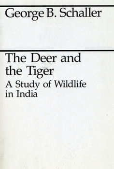 Paperback The Deer and the Tiger Book