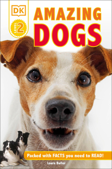 Paperback DK Readers L2: Amazing Dogs: Tales of Daring Dogs! Book