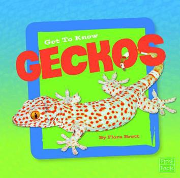 Hardcover Get to Know Geckos Book