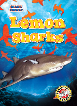 Library Binding Lemon Sharks Book