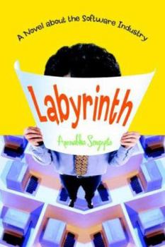 Paperback Labyrinth: A Novel about the Software Industry Book