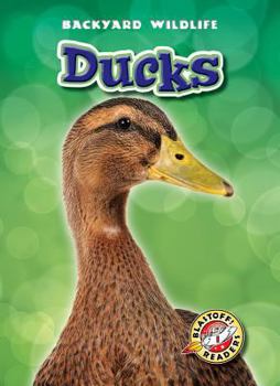 Ducks - Book  of the Backyard Wildlife