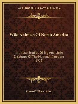 Paperback Wild Animals Of North America: Intimate Studies Of Big And Little Creatures Of The Mammal Kingdom (1918) Book