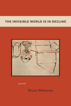 Paperback The Invisible World Is in Decline Book