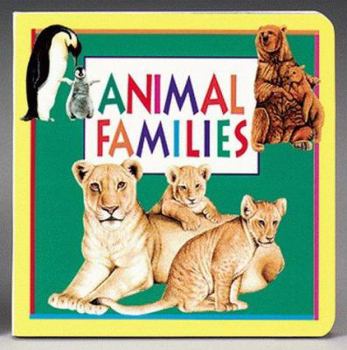 Board book Animal Families Book