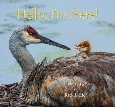 Hardcover Hello, I'm Here! Book