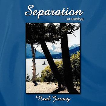 Paperback Separation: An Anthology Book