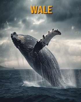 Paperback Wale: Buch mit lustigen Fakten für Kinder [German] Book