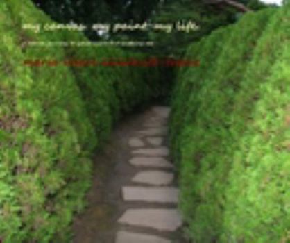 Paperback my canvas. my paint. my life. Book
