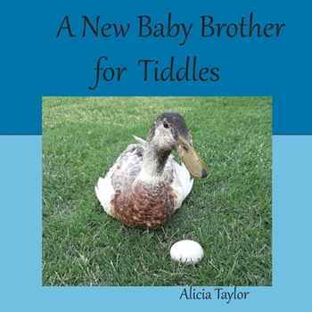 Paperback A New Baby Brother for Tiddles Book