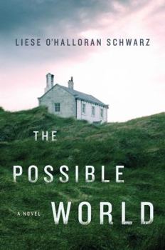 Hardcover The Possible World Book