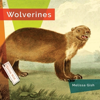 Paperback Wolverines Book