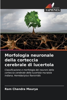 Paperback Morfologia neuronale della corteccia cerebrale di lucertola [Italian] Book