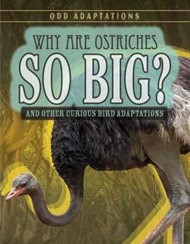 Paperback Why Are Ostriches So Big?: And Other Curious Bird Adaptations Book