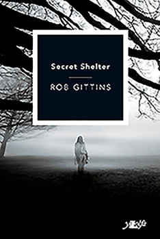 Secret Shelter - Book #2 of the Shelter 