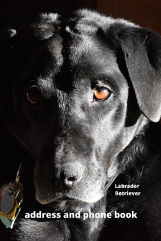 Address and Phone Book: Labrador Retriever Dog Lover Gift (with discreet password journal section), Organized in Alphabetical Order, Discreet internet ... month by month birthday/anniversary section.