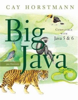 Paperback Big Java Book
