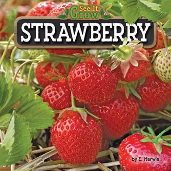 Strawberry - Book  of the See it Grow