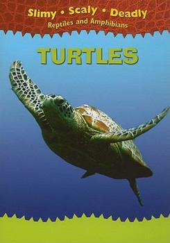 Paperback Turtles Book