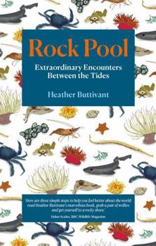 Paperback Rock Pool Book