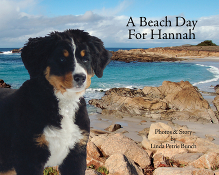 Hardcover A Beach Day for Hannah Book