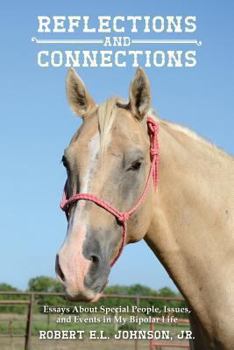 Paperback Reflections and Connections: Essays About Special People, Issues, and Events in My Bipolar Life Book