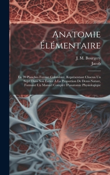 Hardcover Anatomie Élémentaire: En 20 Planches Format Colombier, Représentant Chacun Un Sujet Dans Son Entier À La Proportion De Demi-nature, Formant [Afrikaans] Book