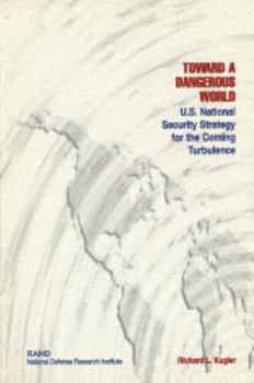 Paperback Toward a Dangerous World?: U.S. National Security Strategy for the Coming Turbulence Book