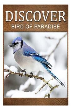 Paperback Birds Of Paradise - Discover: Early reader's wildlife photography book