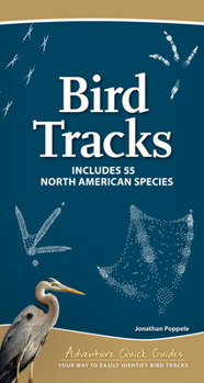 Spiral-bound Bird Tracks: Includes 55 North American Species Book