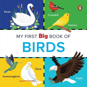 Board book My First Big Book of Birds: Illustrated Board Book of Birds for Preschool Kids, Toddlers Book for 1+ [Penguin Early Learning Series] Book