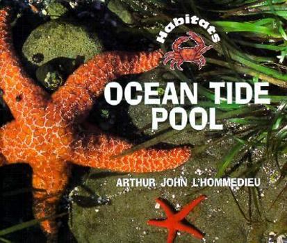 Hardcover Ocean Tide Pool Book