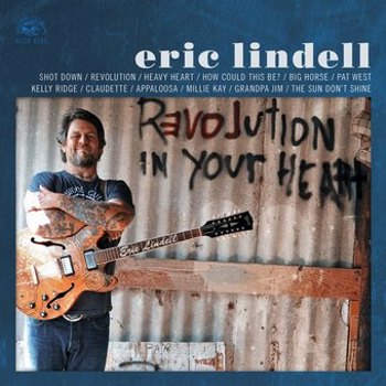 Vinyl Revolution In Your Heart Book