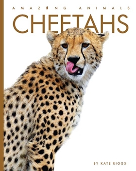 Cheetahs - Book  of the Amazing Animals