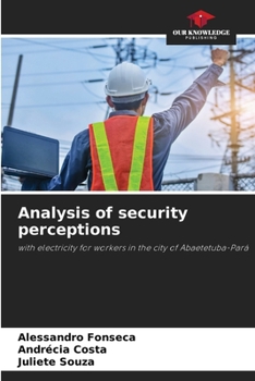 Paperback Analysis of security perceptions Book