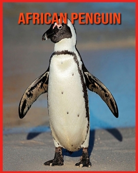 Paperback African Penguin: Fun Facts and Amazing Photos of Animals in Nature Book