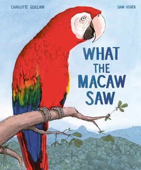 Hardcover What the Macaw Saw Book