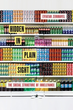 Paperback Hidden in Plain Sight: The Social Structure of Irrelevance Book
