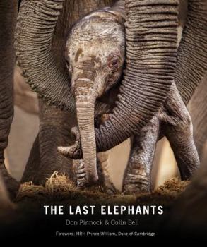 Paperback The Last Elephants Book