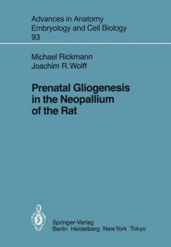 Paperback Prenatal Gliogenesis in the Neopallium of the Rat Book