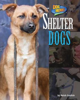 Shelter Dogs - Book  of the Dog Heroes